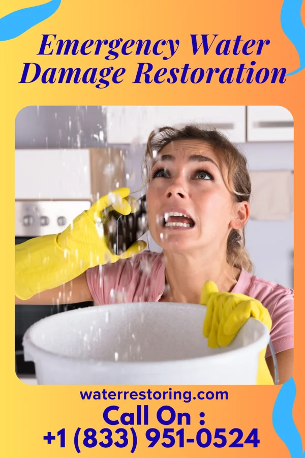Emergency Water Damage Restoration in Blooming Grove, TX